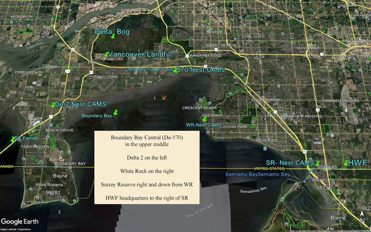 Map showing HWF Boundary Bay Central nest and nearby nests with cams.